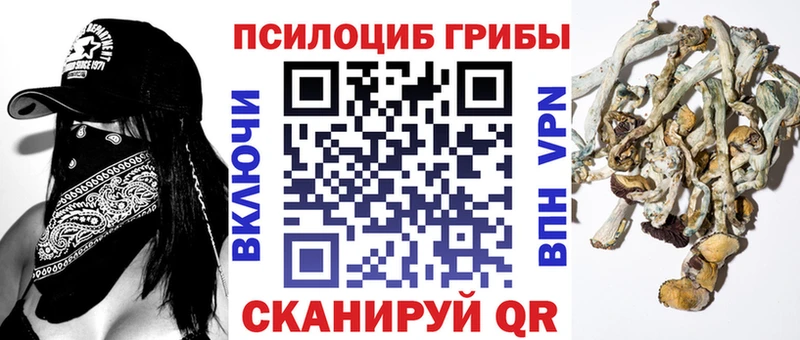 где найти KRAKEN как войти Галлюциногенные грибы мухоморы Лениногорск
